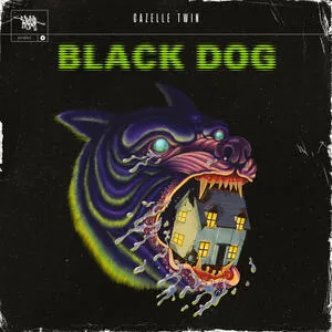 Black dog
